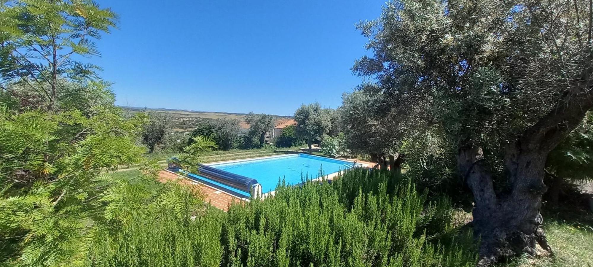 منزل الضيف Casa De Terena المظهر الخارجي الصورة