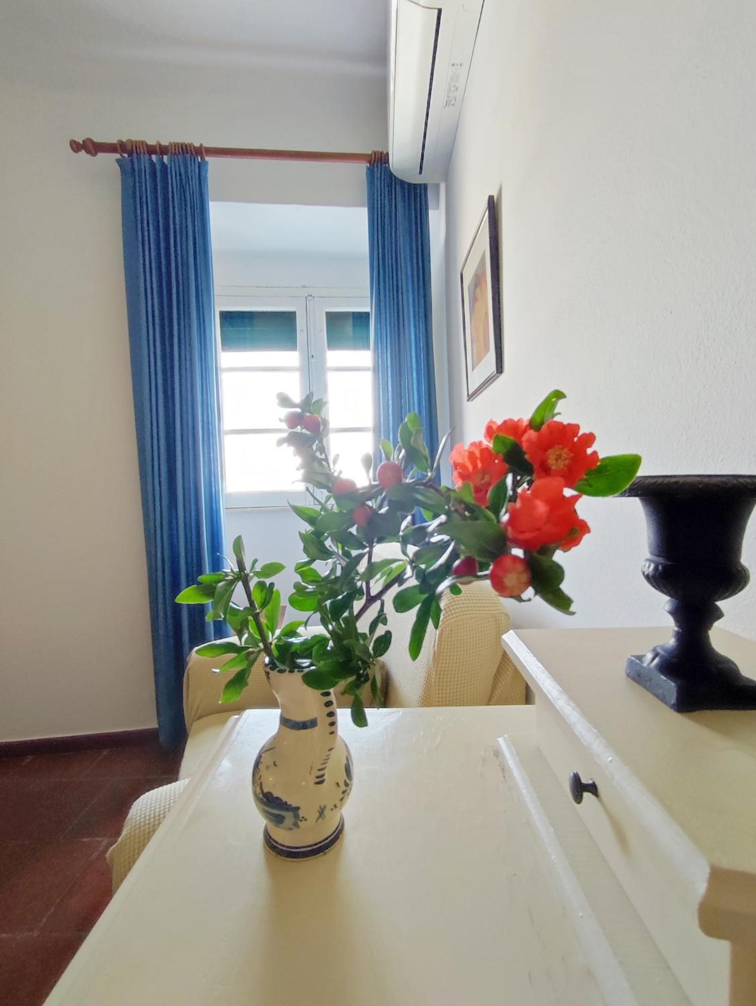 منزل الضيف Casa De Terena المظهر الخارجي الصورة